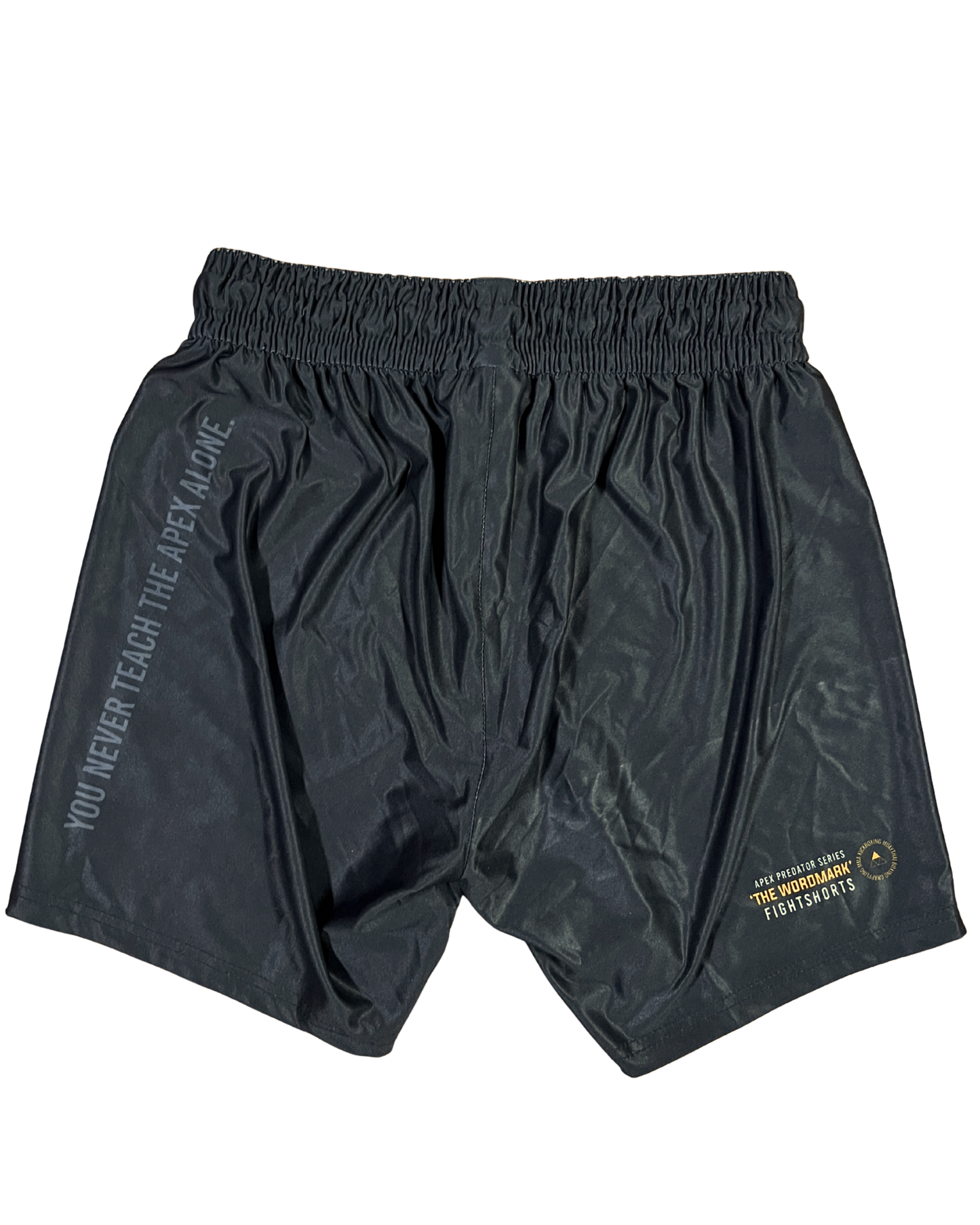 The Wordmark Fightshorts