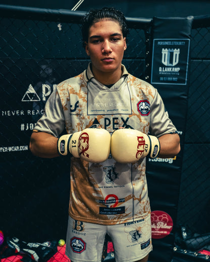"The Varsity" MMA Sparring Gloves