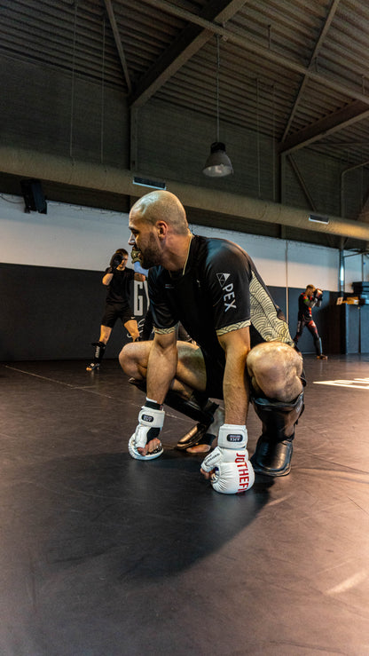 Polar Bear MMA Striking Gloves