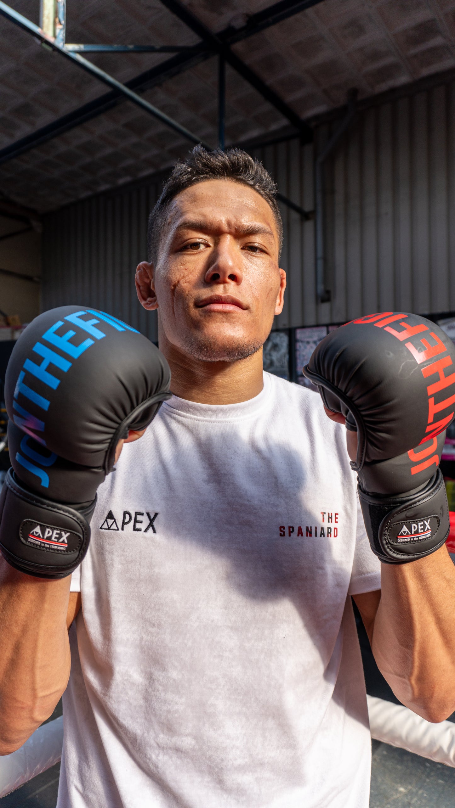 Black Bear MMA Sparring Gloves