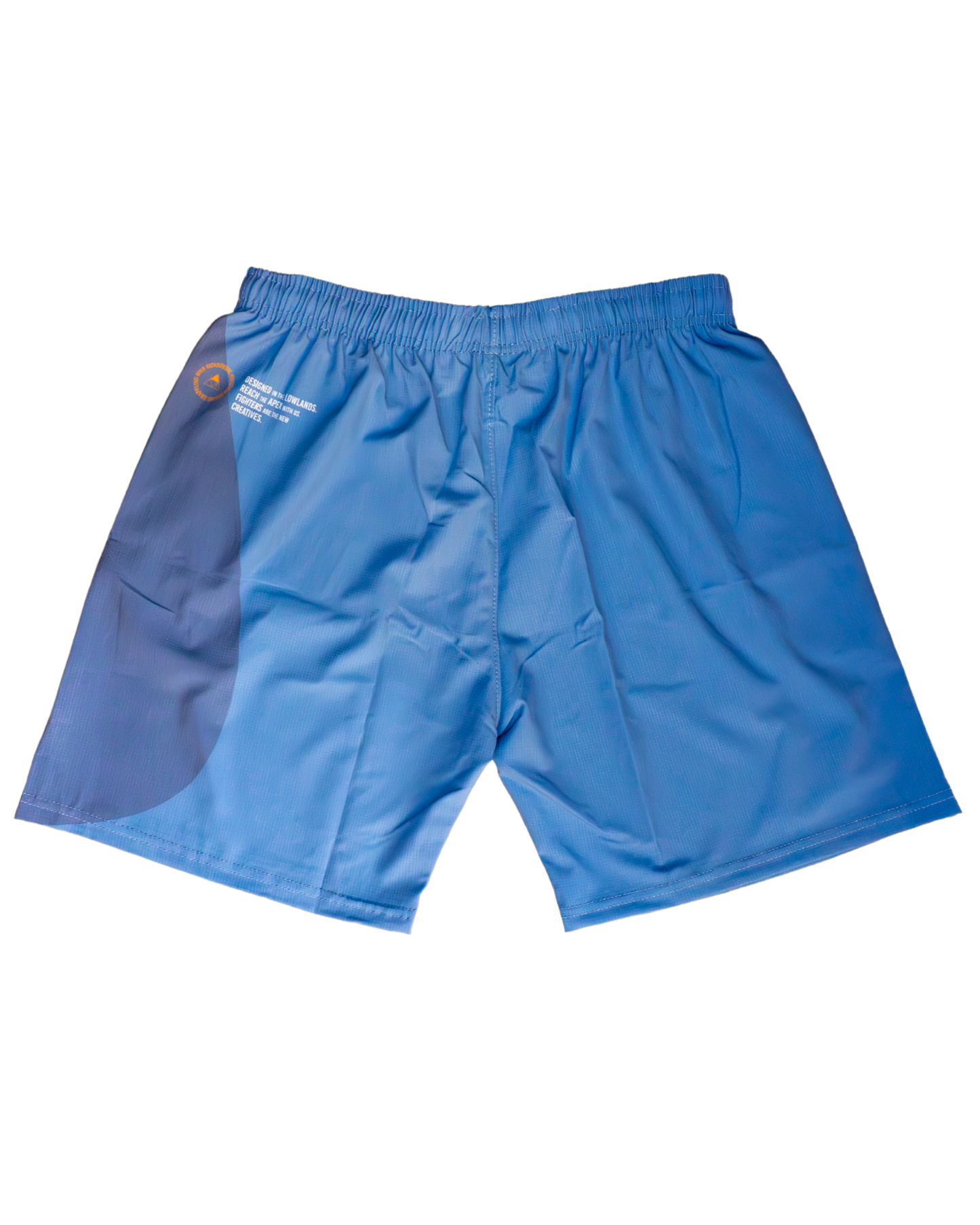 FLOW Training Shorts