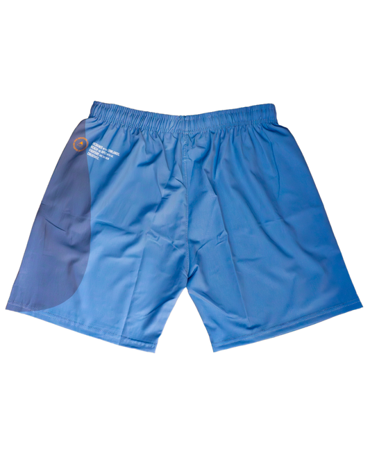 FLOW Training Shorts