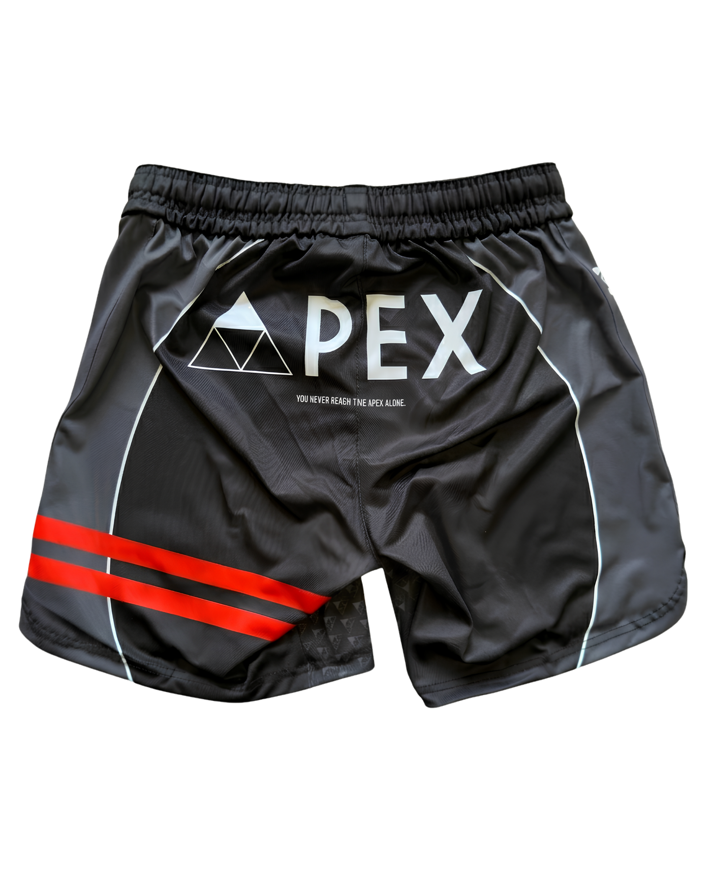 'The Point Guard' Fightshorts