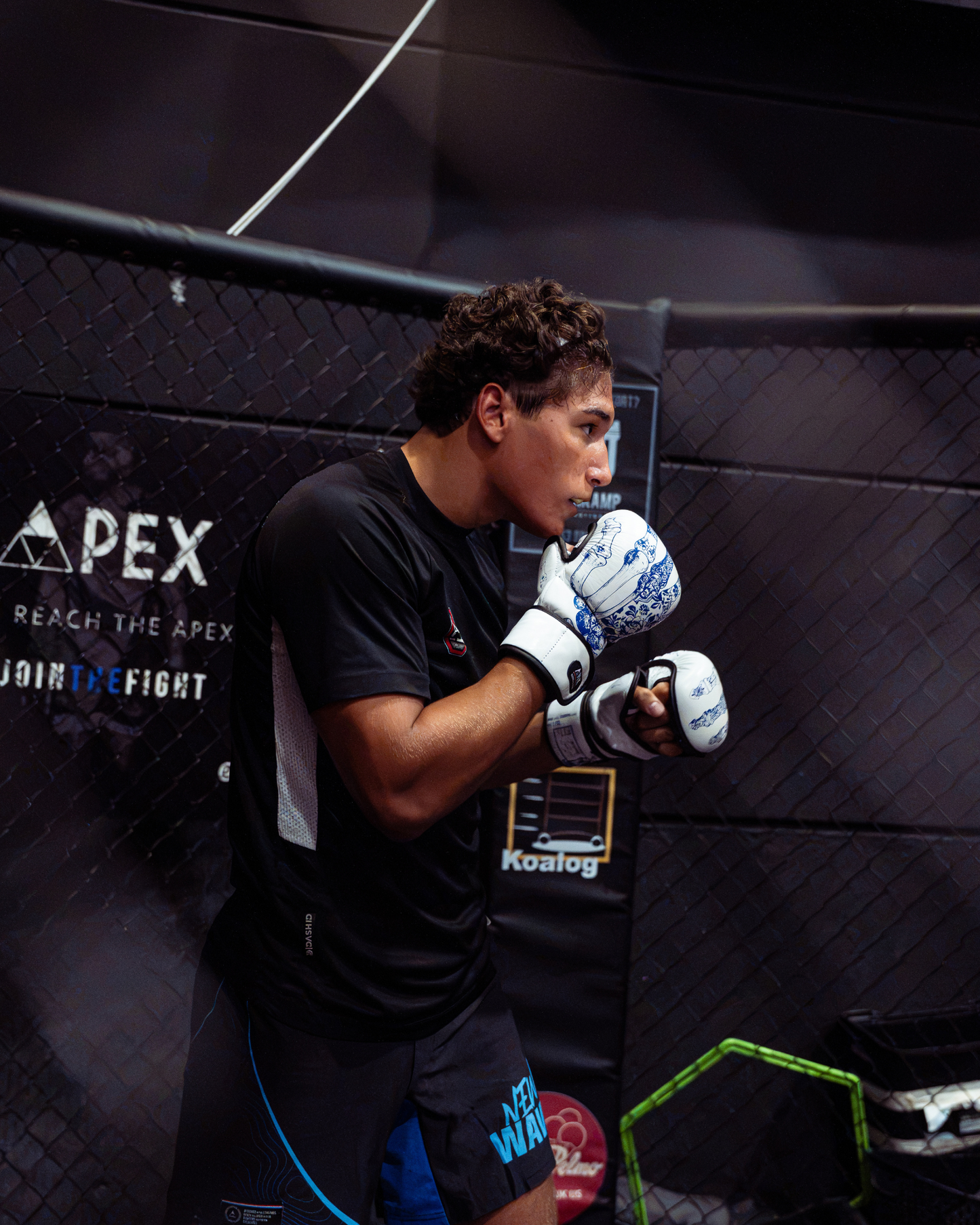 'The Blueprint' MMA Sparring Gloves